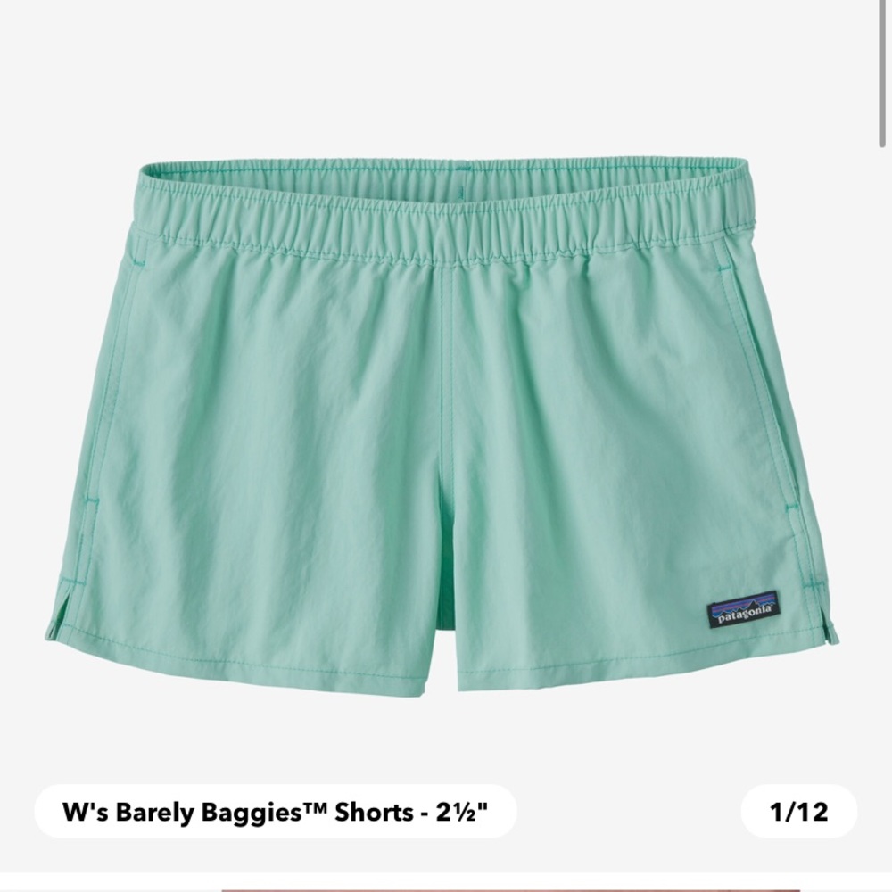 Women’s Neon Barely Baggies Patagonia shorts 2.5 inseam sz.xl NWOT